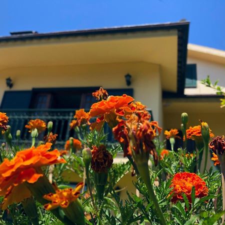 Casa Sao Simao Villa Barcelos Exterior photo